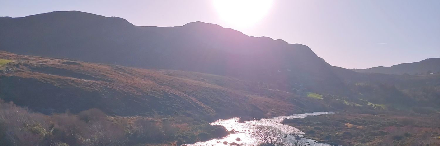 RikaSuoh's profile banner image