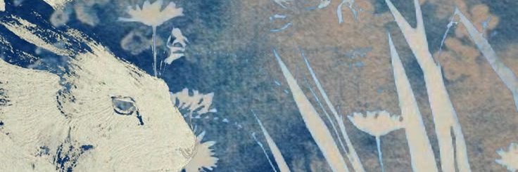 Mori_Ndoc's profile banner image