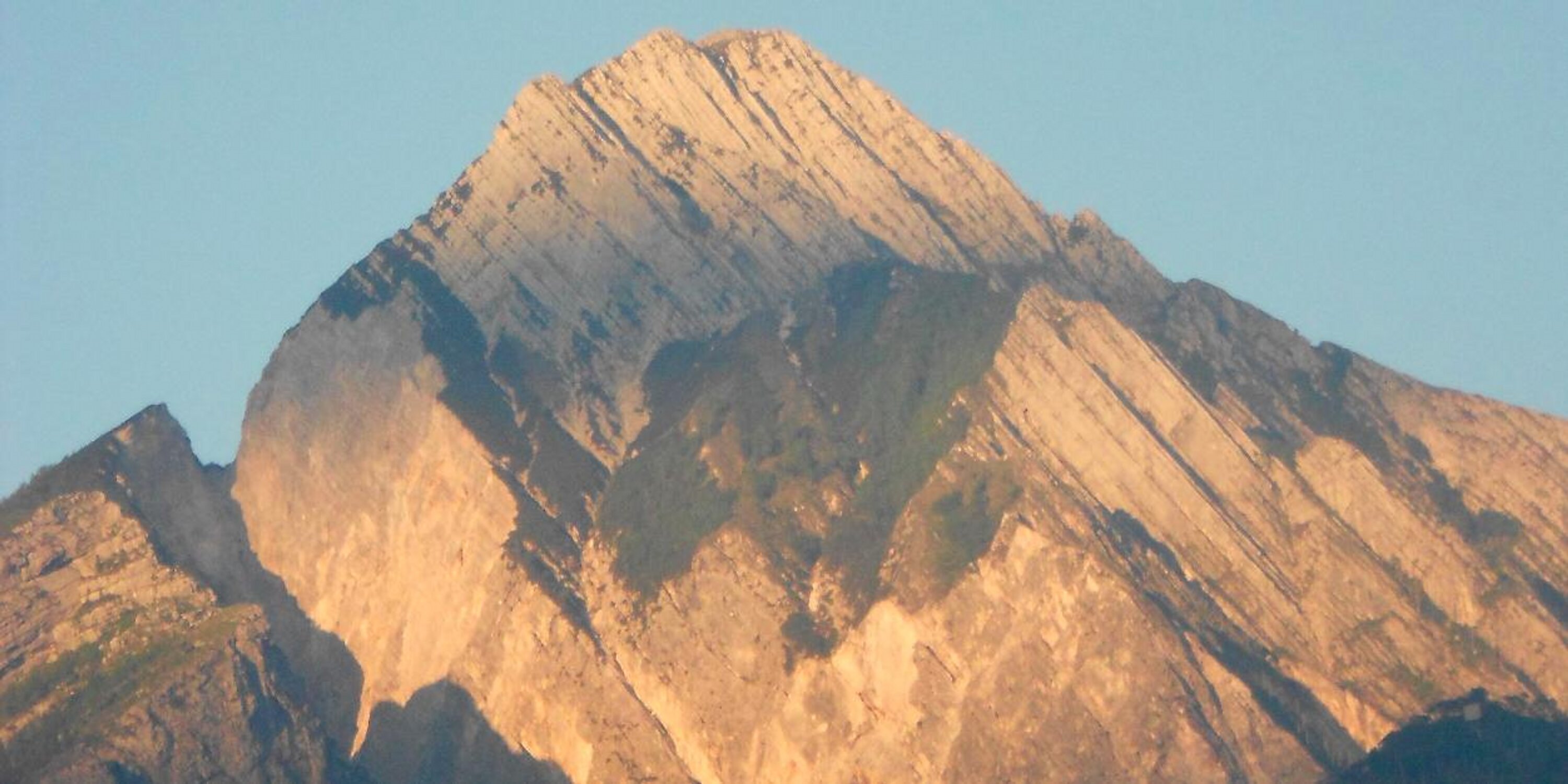 PazziMoltoPazzi's profile banner image