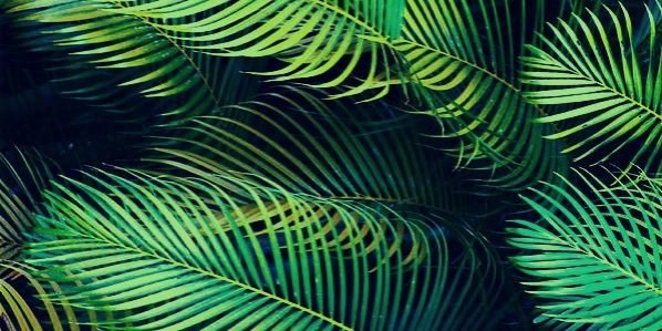 oldyellowtshirt's profile banner image