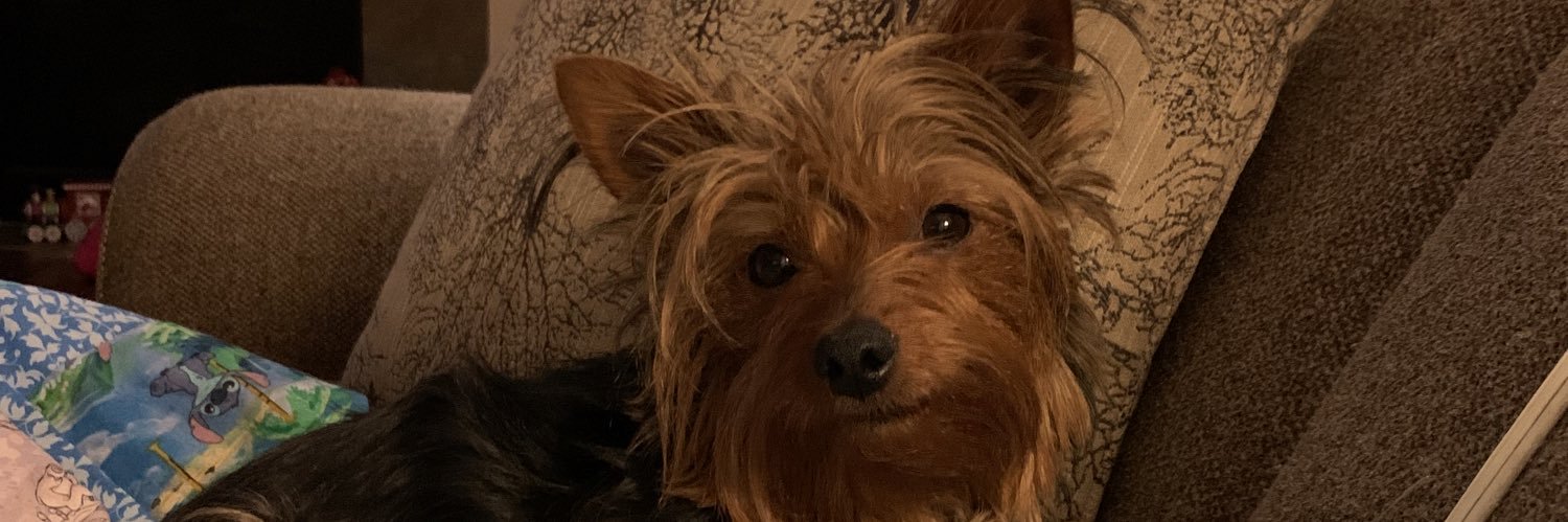 beankmf's profile banner image
