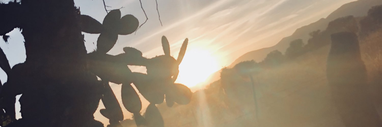 anatorres377's profile banner image