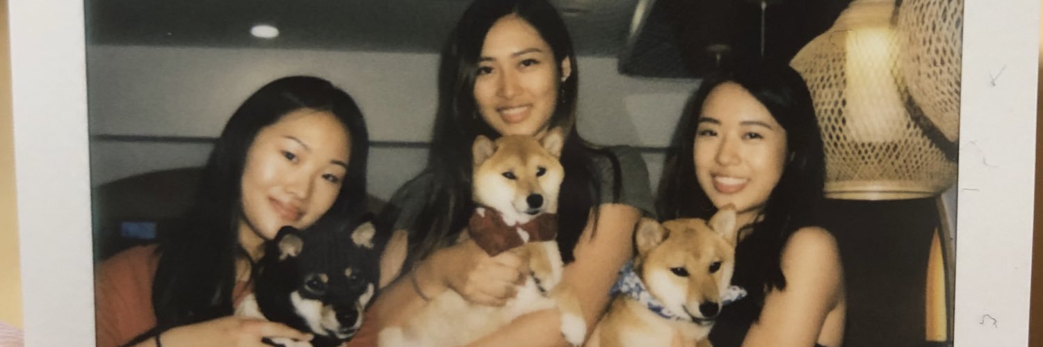 Chloeeeqin's profile banner image