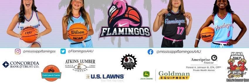 Mississippi Flamingos AAU banner