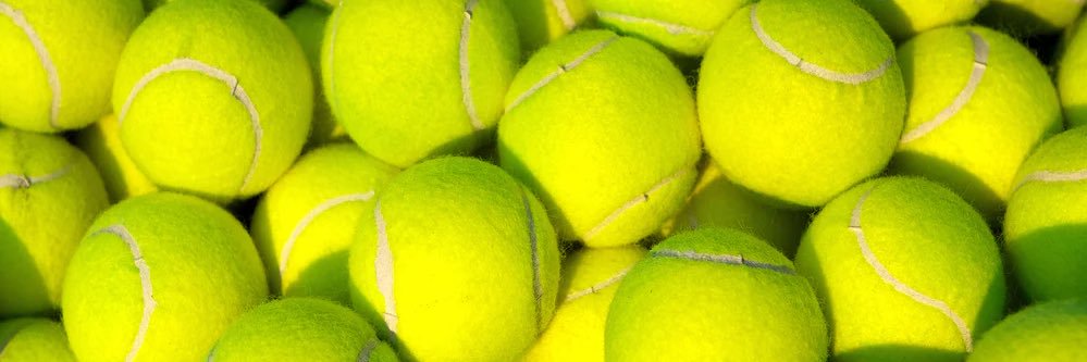 Dingus Kogan 🔜 AO banner