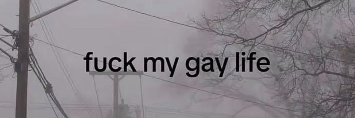 emiibearrr's profile banner image