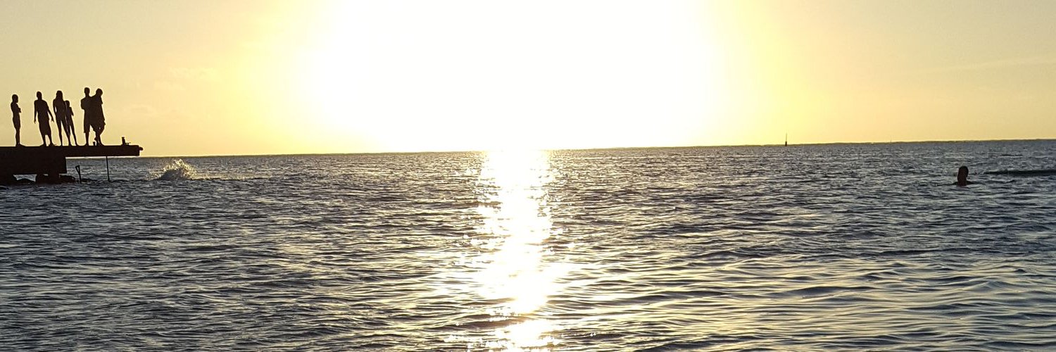 MSG311's profile banner image