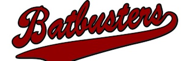 batbustersHE Profile Banner