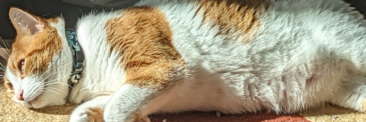 MeisterJ's profile banner image