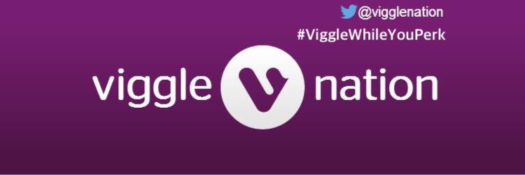 ViggleNation's profile banner image