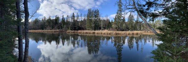 feralbob Profile Banner