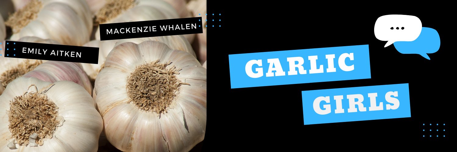mac_whale's profile banner image
