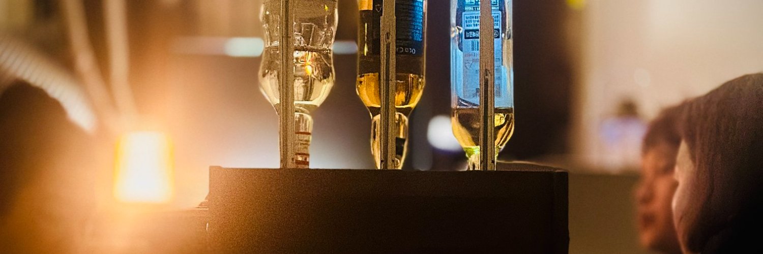 jameslee & risa banner