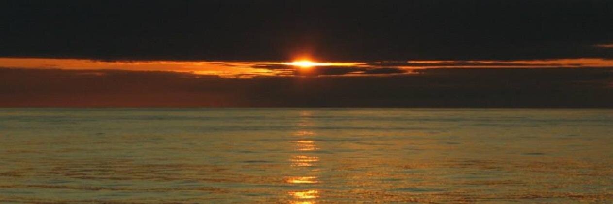 Abi Bettle-Shaffer banner