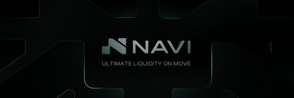 navi_protocol Profile Banner