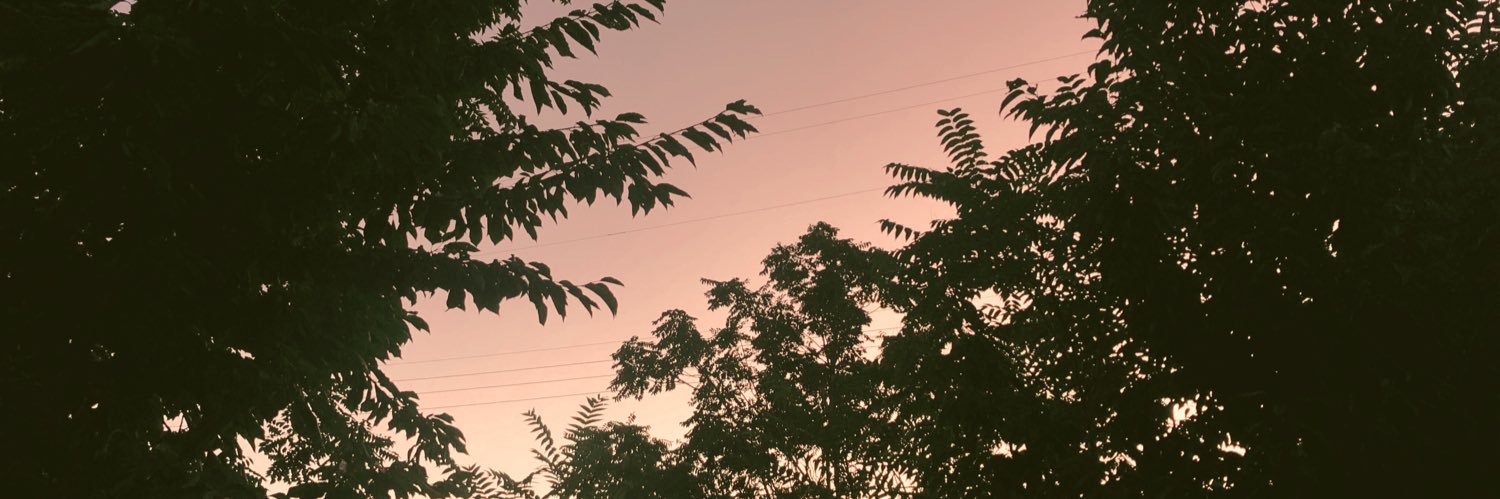 camden_pierce's profile banner image