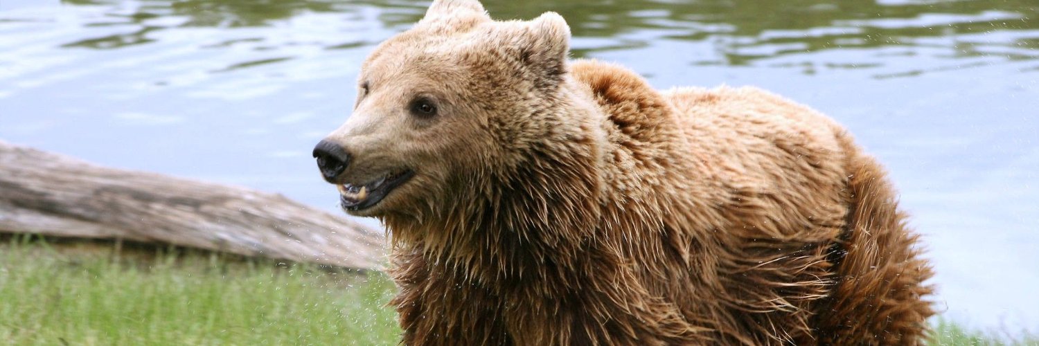 mimentebisexual banner