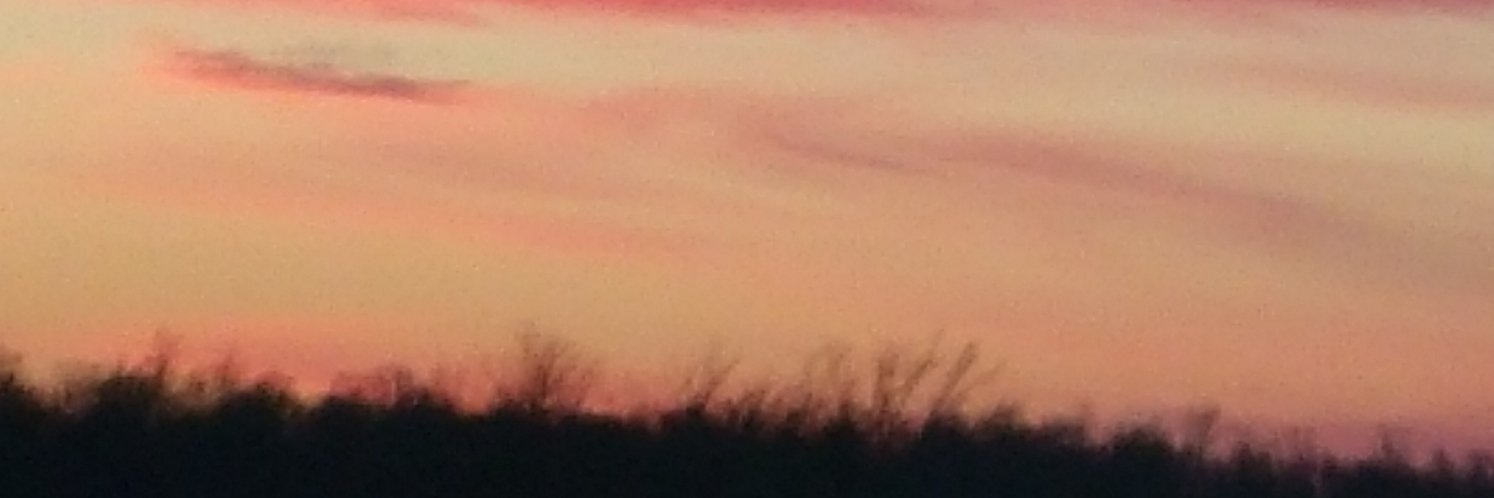 CyberScooby_10's profile banner image