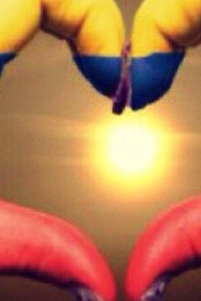 Norsi_ banner
