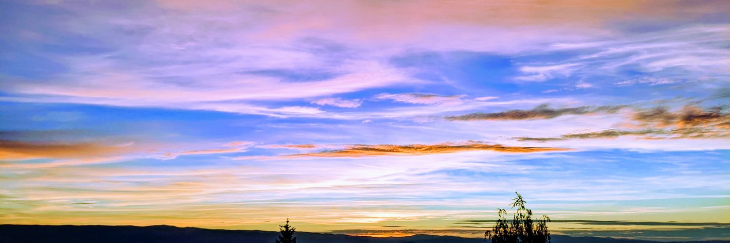 Endrohid's profile banner image