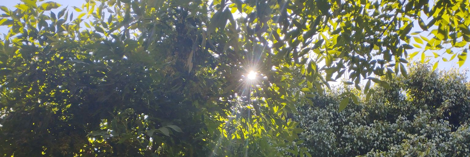 Floretc_'s profile banner image