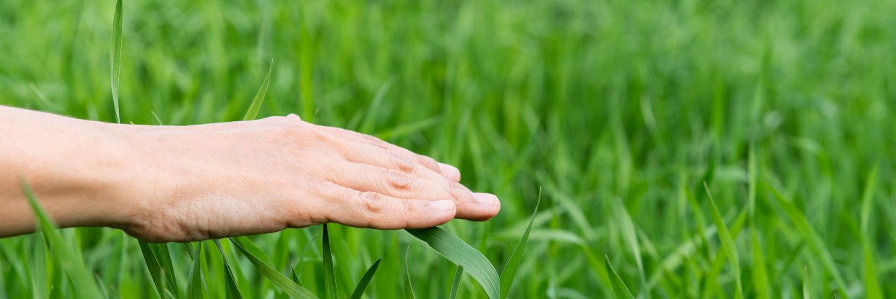 Samo the Trader banner