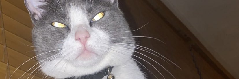 caameronkunkle's profile banner image