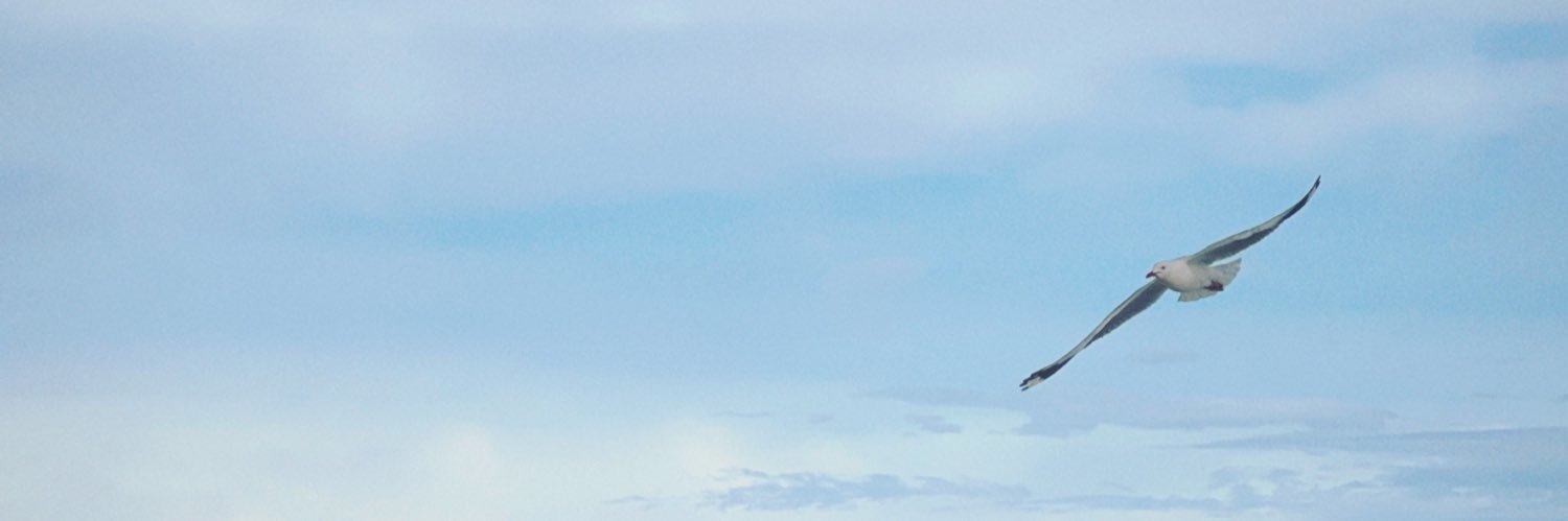 𝗔𝗽𝗿𝗶𝗹𝗴𝗹𝗼𝘄🦌 banner