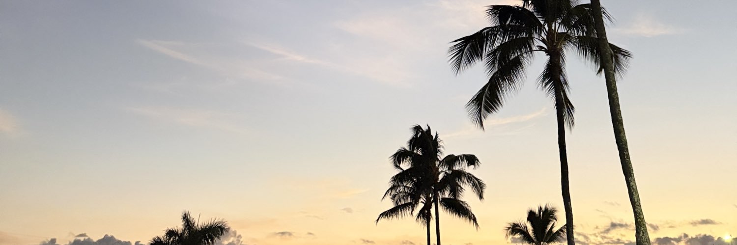 preshallen_'s profile banner image