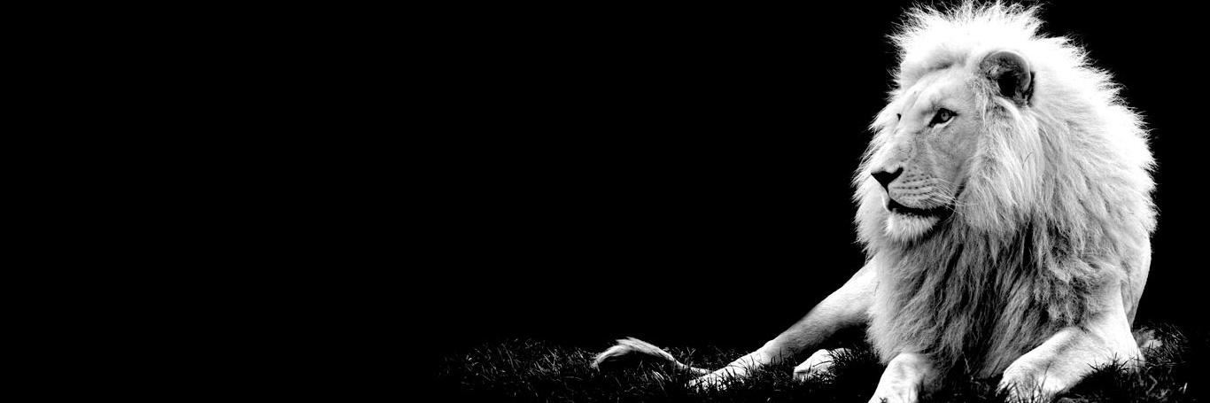 BillyPlacehold's profile banner image