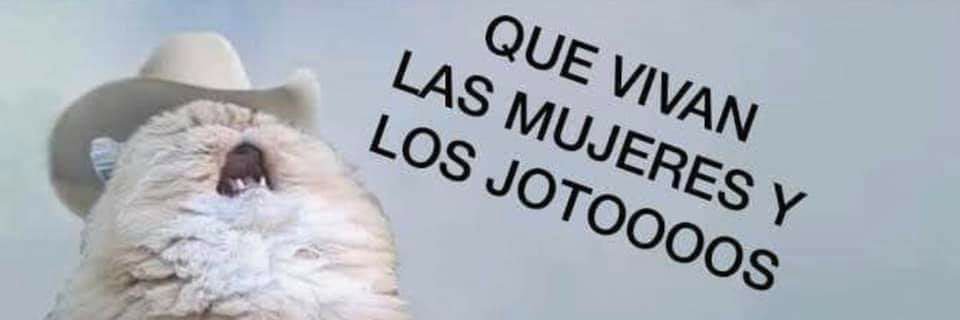 Fernanda la lesbiana. banner
