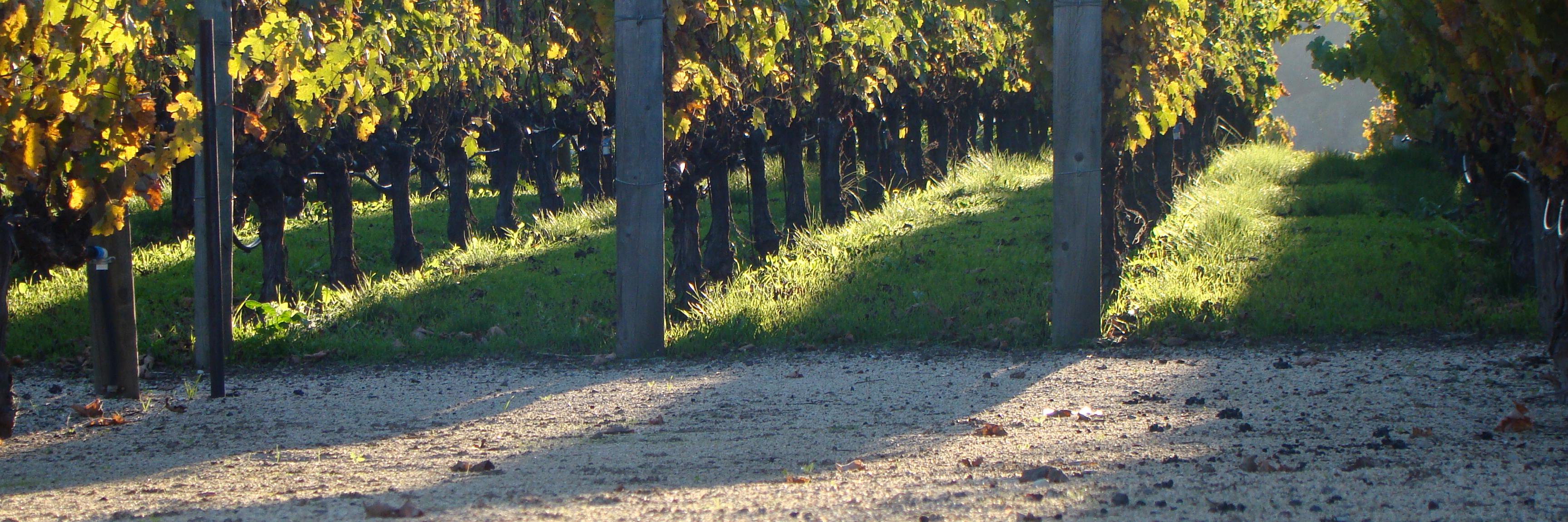 winemixdj's profile banner image