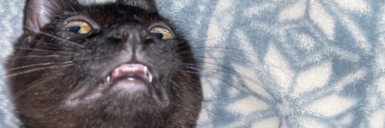 BrianWhoopWhoop on Twitch 🥰✌🏾 banner