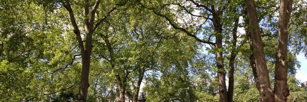 JebbL Profile Banner