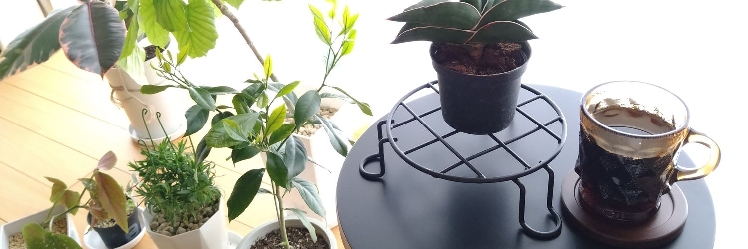 love_cafe_'s profile banner image