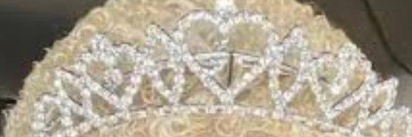 stupidbiytch Profile Banner