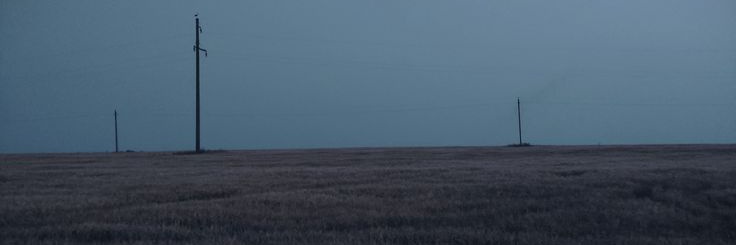 фирир🌱 banner