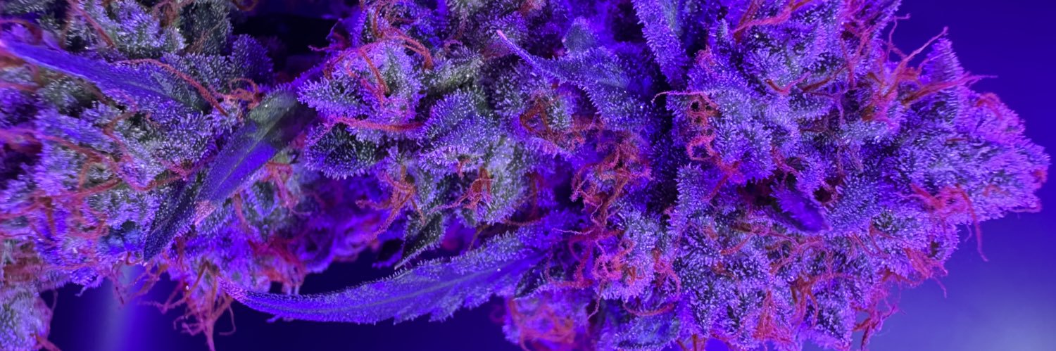 Deverorganics3's profile banner image