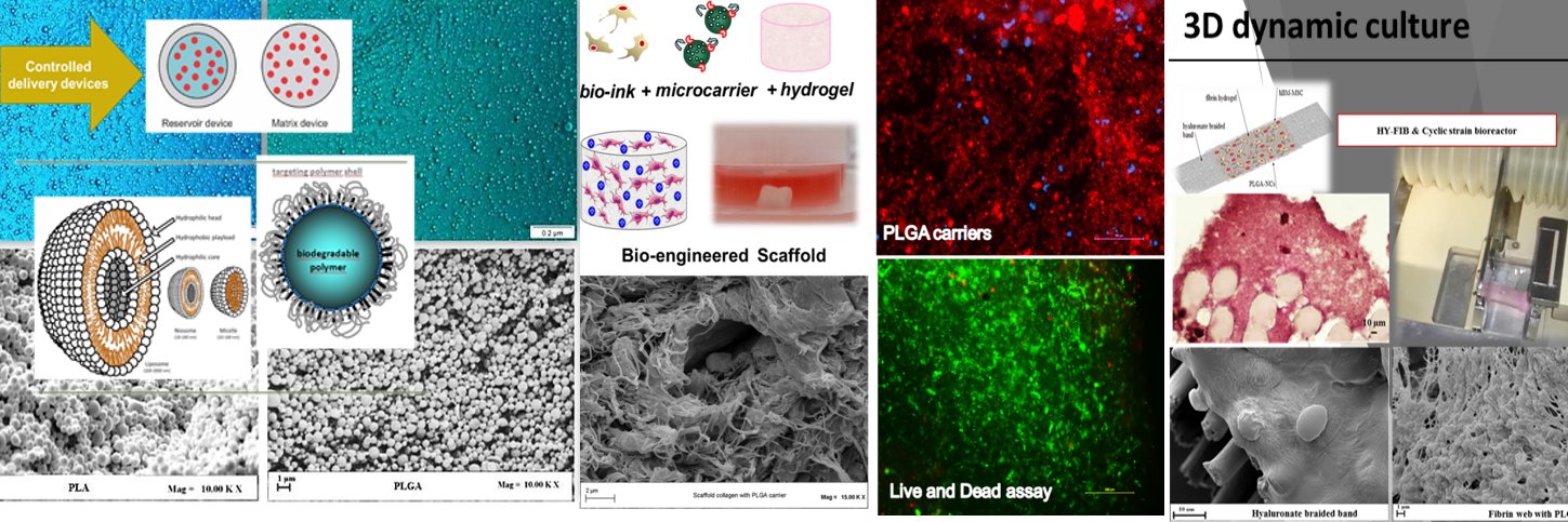 DellaPortaLab banner