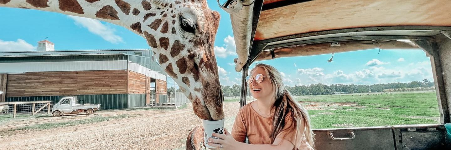 Erica Sweeney Glory banner