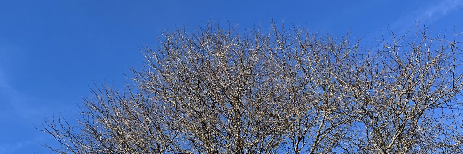 Solwrker's profile banner image