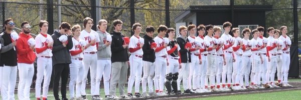 T_Swans07 Profile Banner