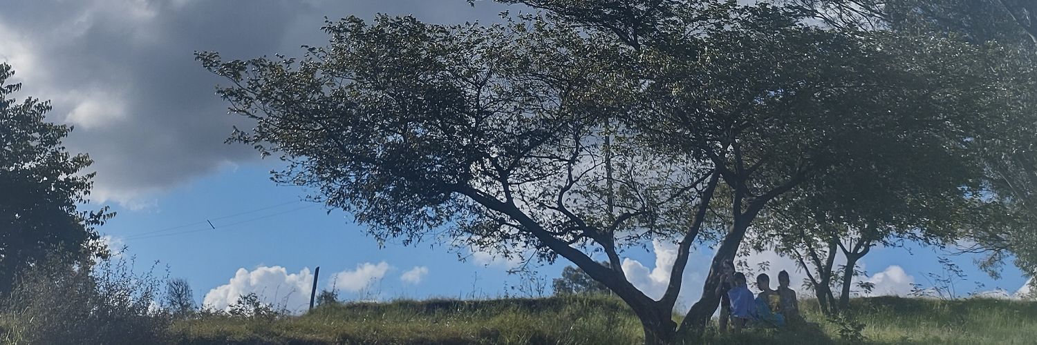 YaniOltra's profile banner image
