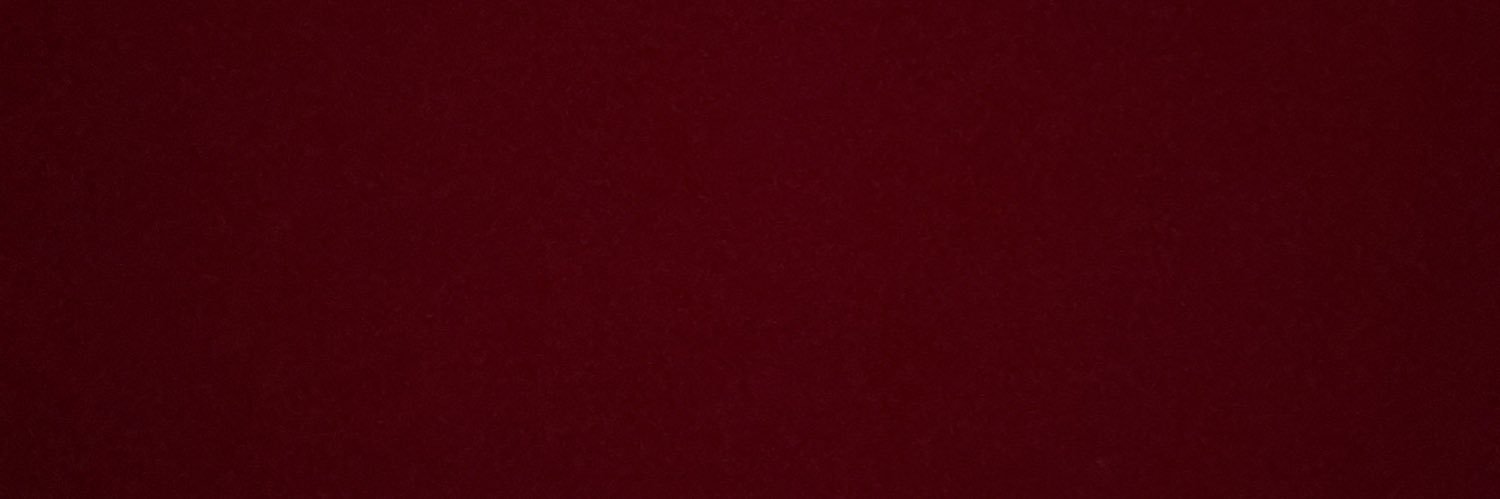 CaseyyHilton's profile banner image
