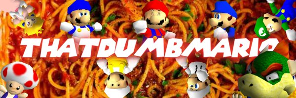 ThatDumbMario Profile Banner