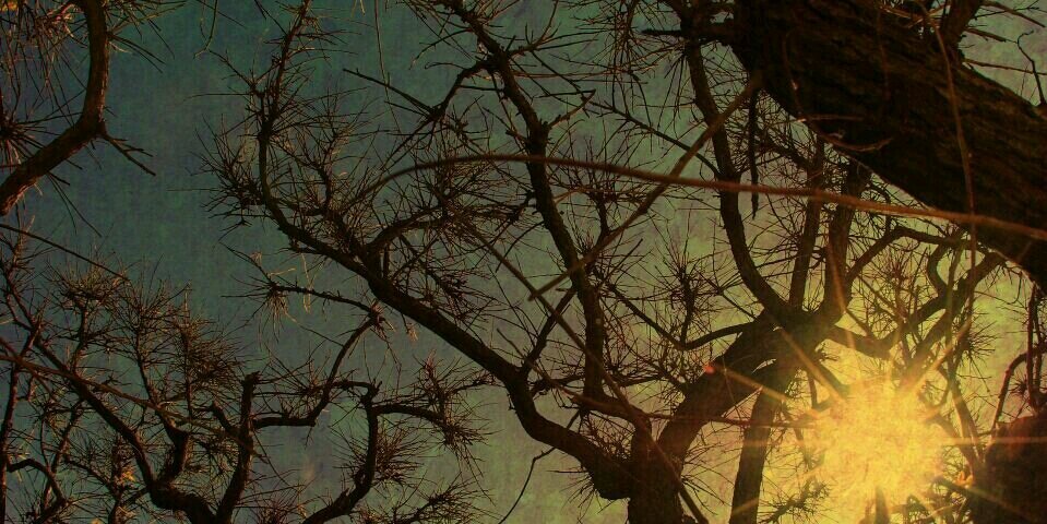 toixorna's profile banner image