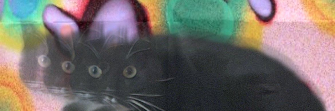 TrumanTots's profile banner image