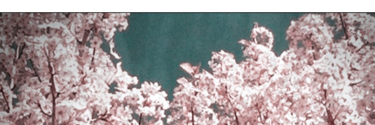 jrdprkns's profile banner image