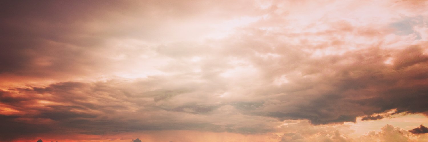 nielsschooneman's profile banner image
