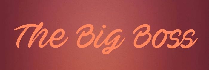 BigBoss1382's profile banner image